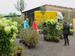 Baumschule Lux mit einem bunten Angebot an Pflanzen