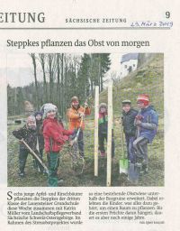 Artikel der Sächsischen Zeitung