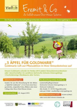 Plakat "3 Äpfel für Goldmarie"