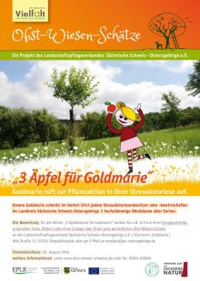 Plakat "3 Äpfel für Goldmarie" 2014